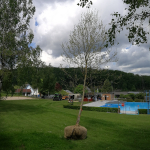 IMG-20210727-WA0009