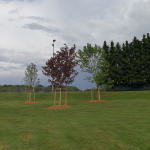 IMG-20210727-WA0010